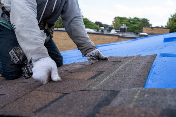 Best Roof Gutter Cleaning  in Central Square, NY